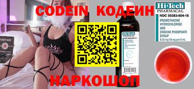 ешки Кингисепп
