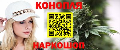 ешки Кингисепп