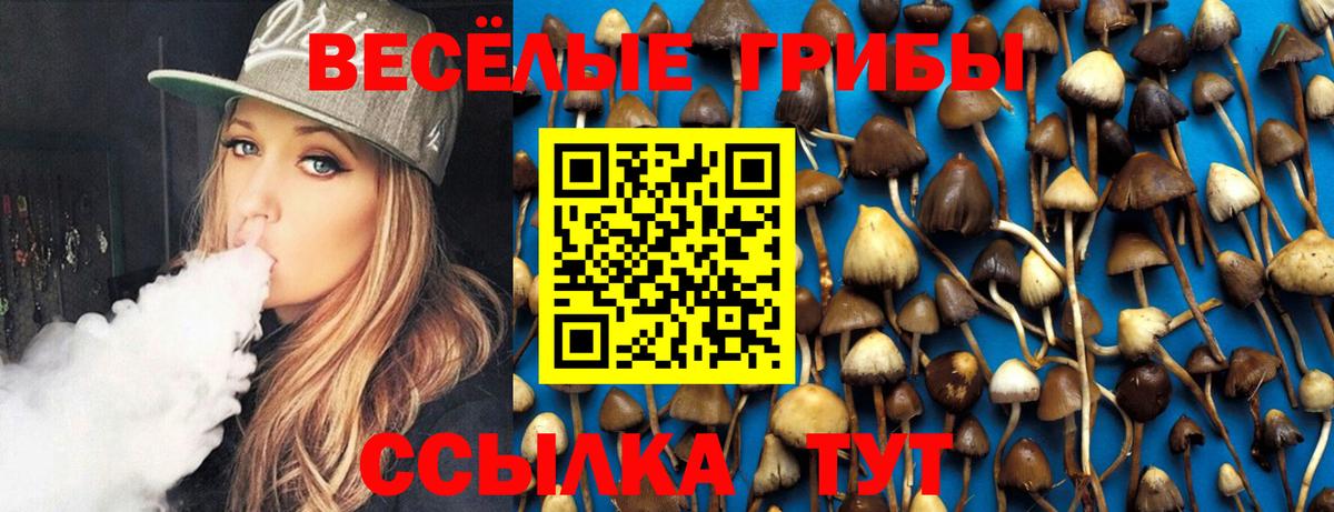 Галлюциногенные грибы ЛСД Курчатов