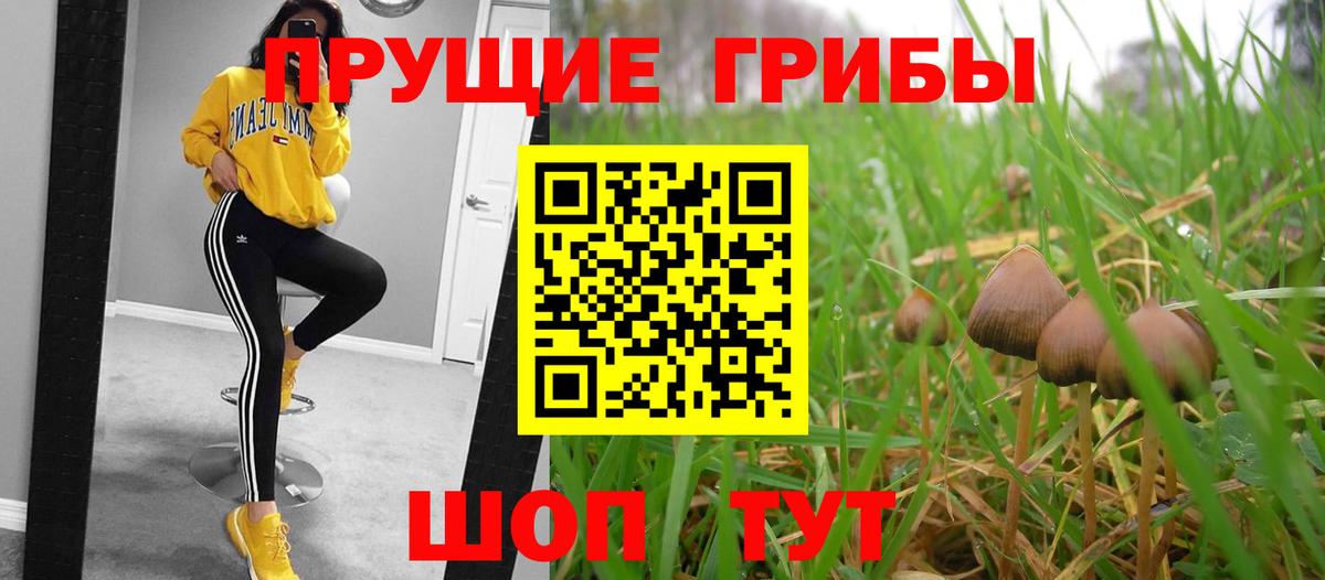 Псилоцибиновые грибы Psilocybine cubensis  Вход с VPN  Псилоцибиновые грибы мухоморы  Курчатов 